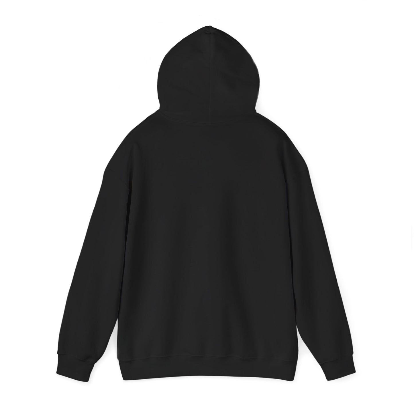 TEN Premium Fleece Hoodie- Black