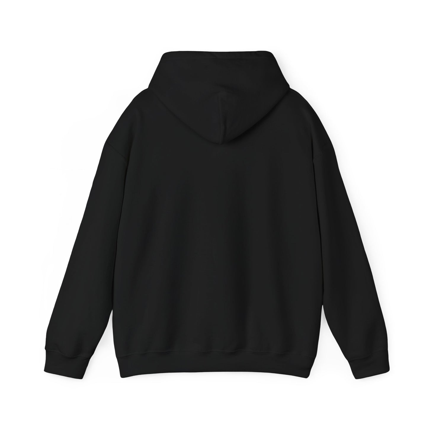 TEN Premium Fleece Hoodie- Black