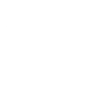 Insane Haunt Productions LLC logo