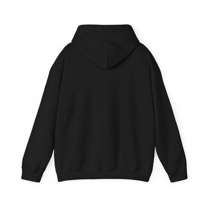 TEN Premium Fleece Hoodie- Black