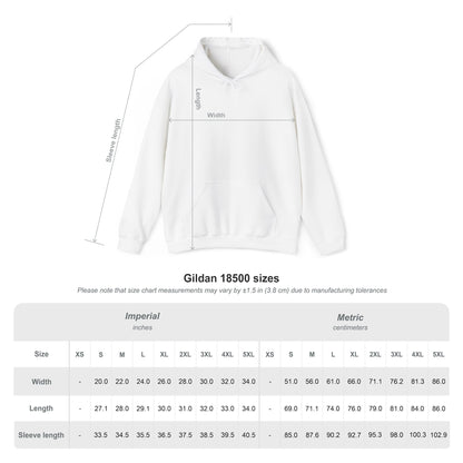 TEN Premium Fleece Hoodie- Black