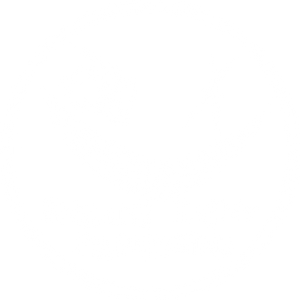 Insane Haunt Productions LLC
