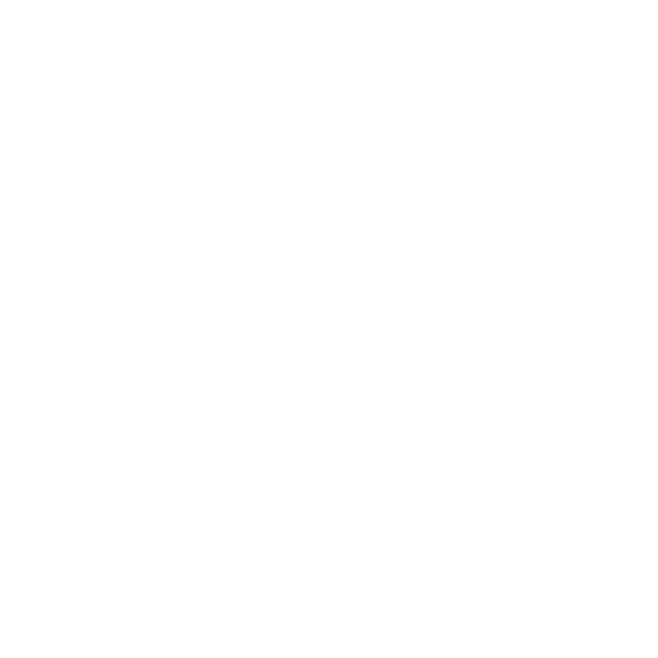Insane Haunt Productions LLC